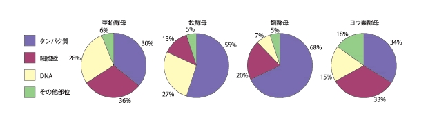 酵母ミネラルの特徴